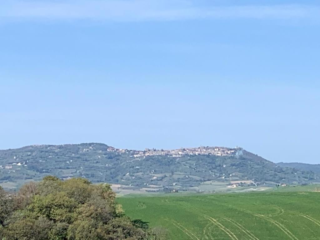 Cordella In Valdorcia Truffle And Olive Oil Resort Montalcino Ngoại thất bức ảnh